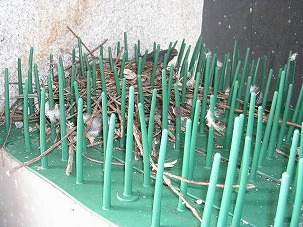 はと対策和歌山